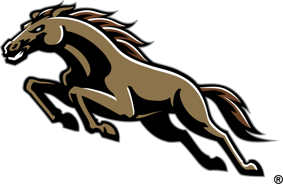 Western Michigan Broncos 1998-2016 Secondary Logo v3 t shirts iron on transfers